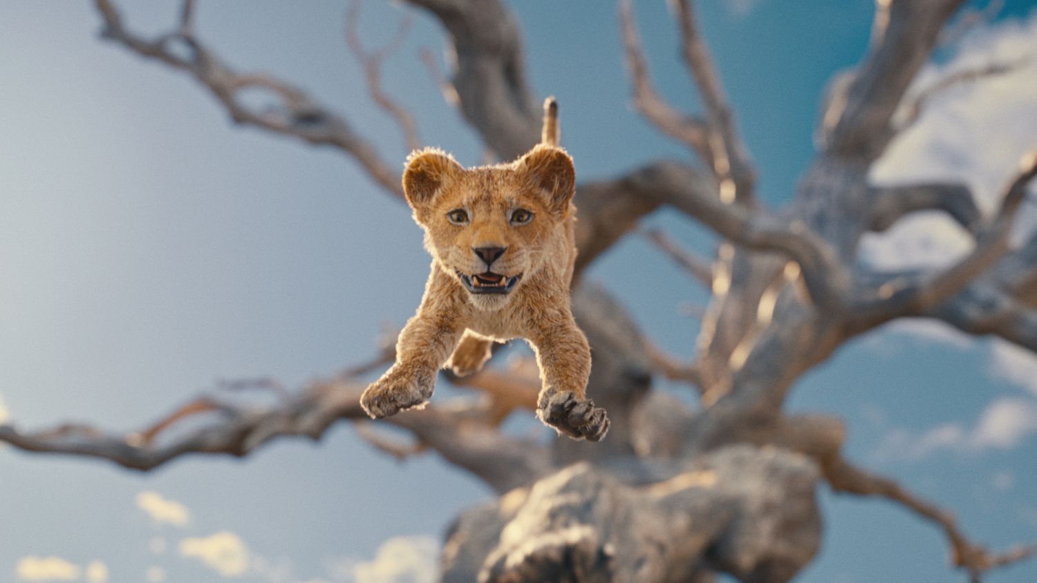 O filme Mufasa: O Rei Leão vai desembarcar nos cinemas ainda 2024