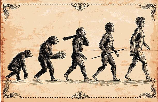 O estudo de genomas ancestrais poderia nos ajudar a entender como a vida evoluiu no planeta. (Fonte: Getty Images)