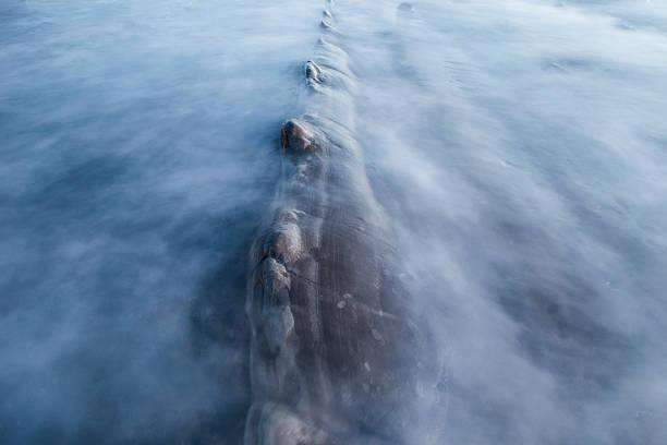 Novas espécies marinhas são descobertas no Pacífico, mantendo o mistério sobre criaturas gigantes. (Fonte: Getty Images/Reprodução)