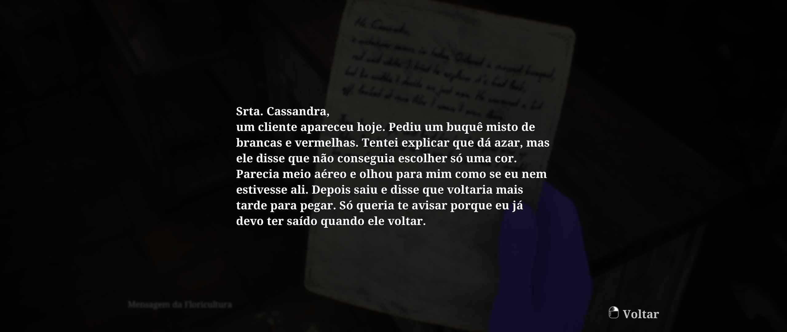 Textos dentro do game. (Arquivos e cartas)
