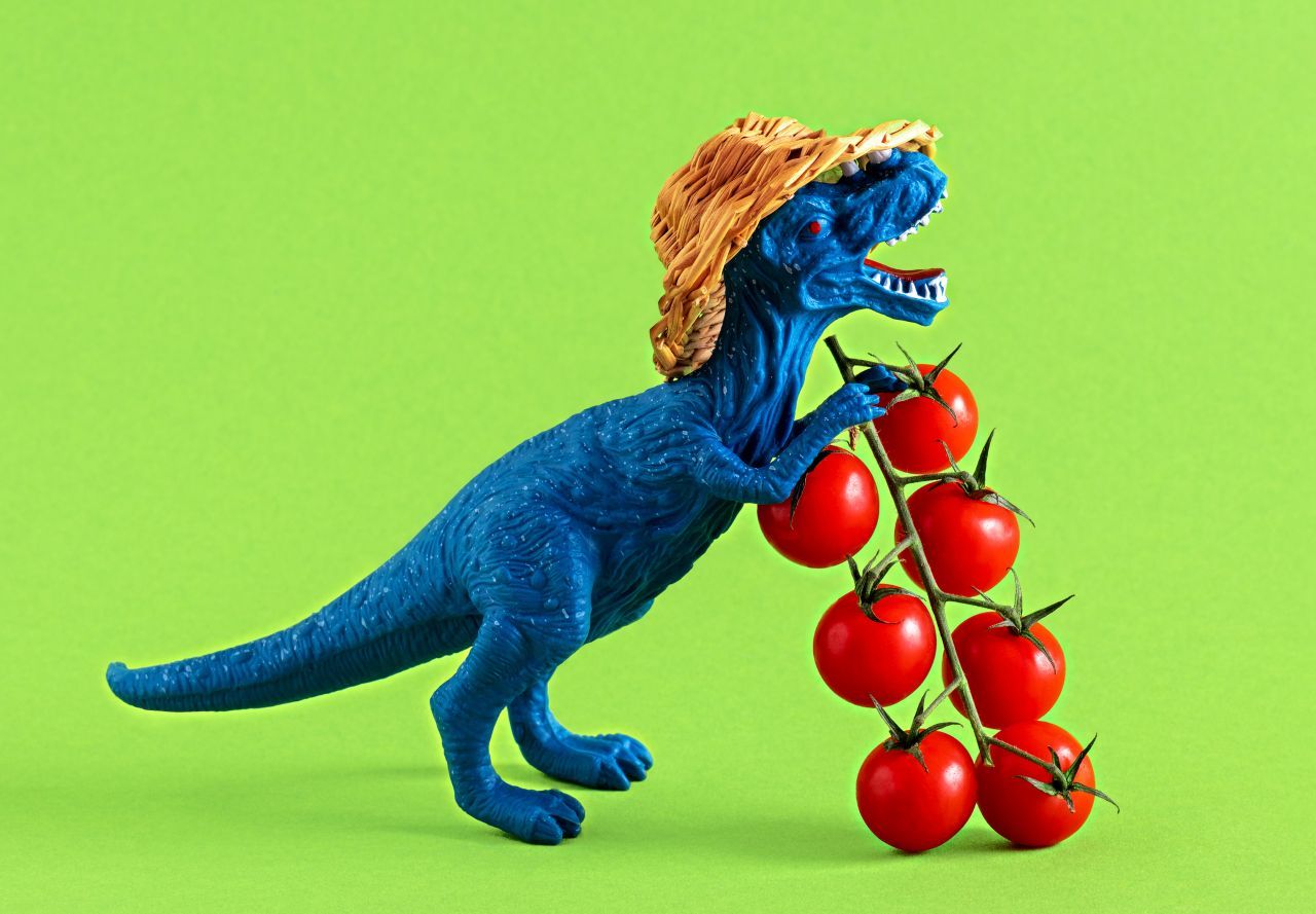 Extinção dos dinossauros e a evolução das frutas: qual é a relação?