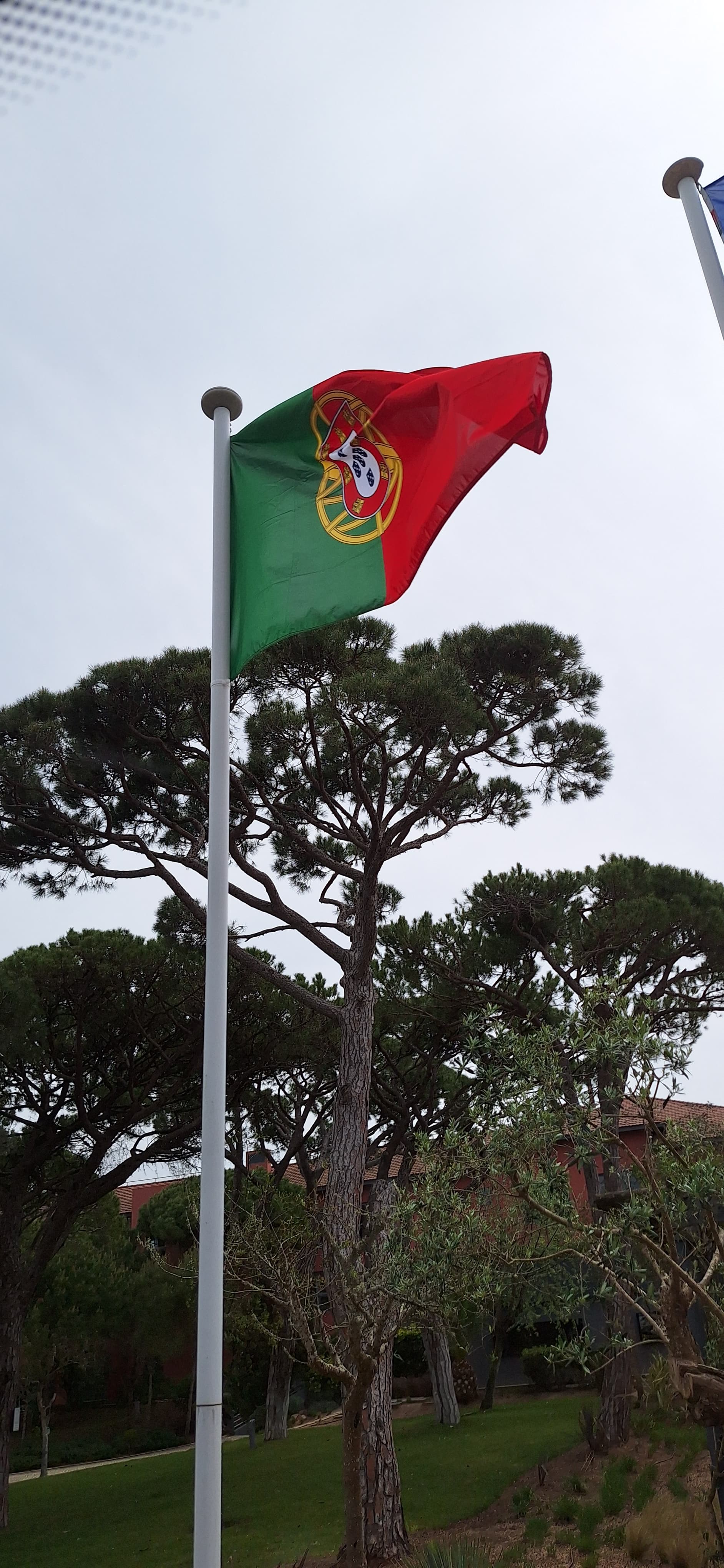 Internet em Portugal é cara e maluca para brasileiro: vou te ensinar a navegar