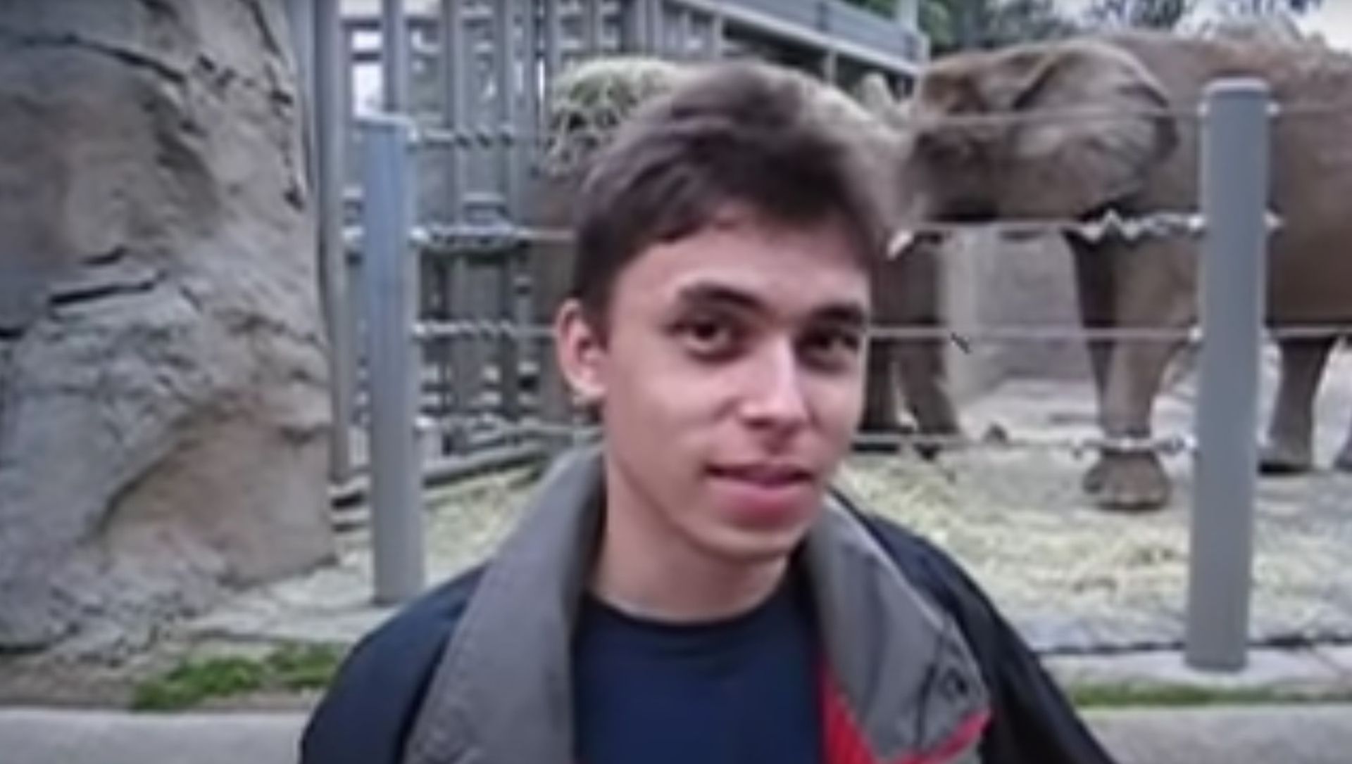 Primeiro vídeo da história do YouTube faz 20 anos; saiba tudo sobre ele