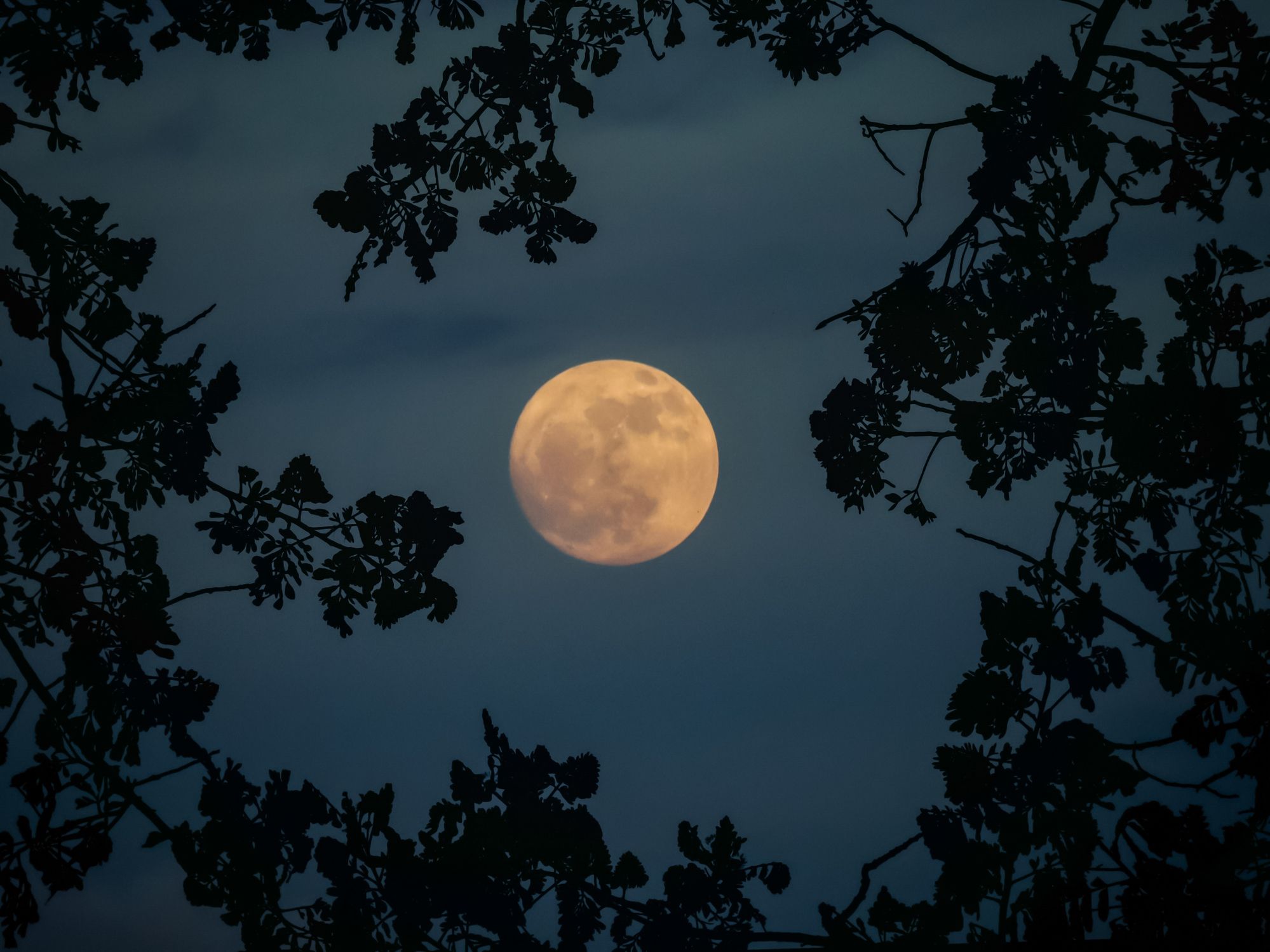 'Lua das Flores': saiba quando acontecerá e como observar a Lua cheia de maio