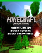 Voxel