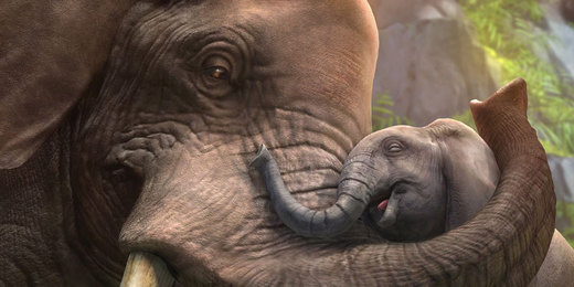 Confira a lista completa de animais do game Zoo Tycoon