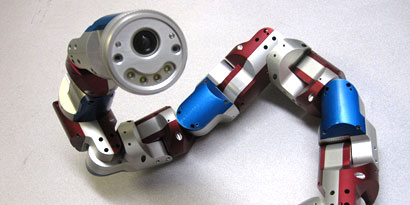 Imagem de: Cobras robóticas: nada é capaz de pará-las