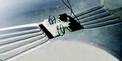 Imagem de: Desenvolvido robô que caminha sobre a água