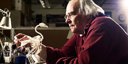 Imagem de: Como cientistas vão hackear uma galinha para recriar um dinossauro