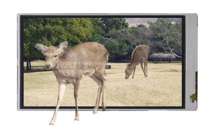 Imagem simulada da tela de LCD 3D com Touchscreen. 