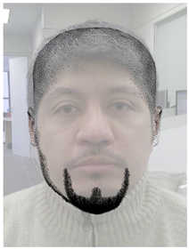 Barba Barba