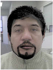 Bigodes Bigodes