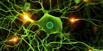 Imagem de: Vírus geneticamente modificados ajudam a sua memória