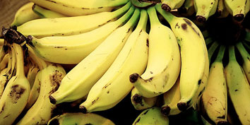 Imagem de: Carros do futuro serão feitos a partir de bananas e abacaxis?