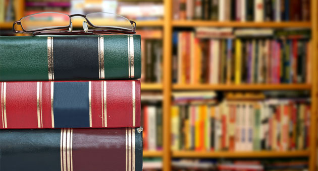 Imagem de: Especial livros que viraram séries: sob um olhar feminino