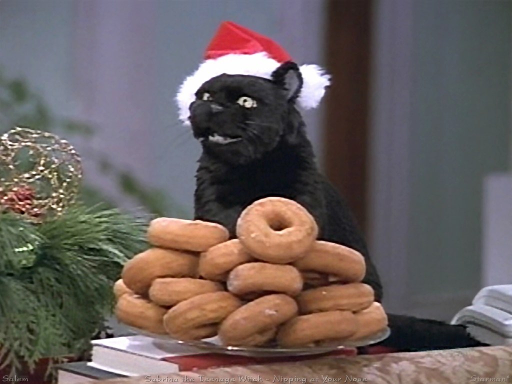Imagem de: 13 vezes que a vida foi resumida corretamente pelo Salem, o gato da Sabrina