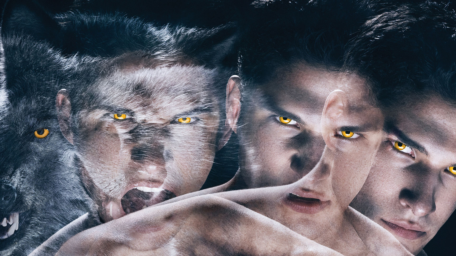 Imagem de: Teen Wolf: última temporada ganha data para chegar à Netflix Brasil