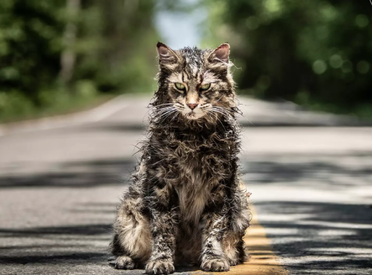 Imagem de: Pet Sematary: confira o sinistro trailer do remake de Cemitério Maldito