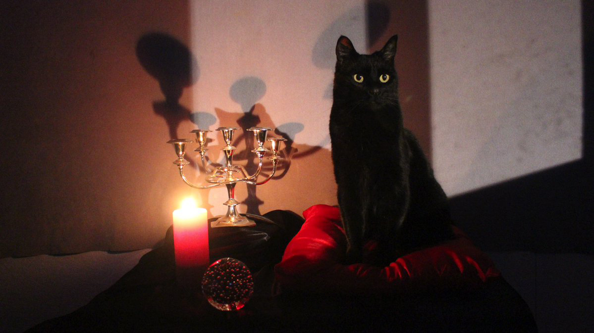 Imagem de: Sabrina conhece o gato Salem: cena da nova série original Netflix