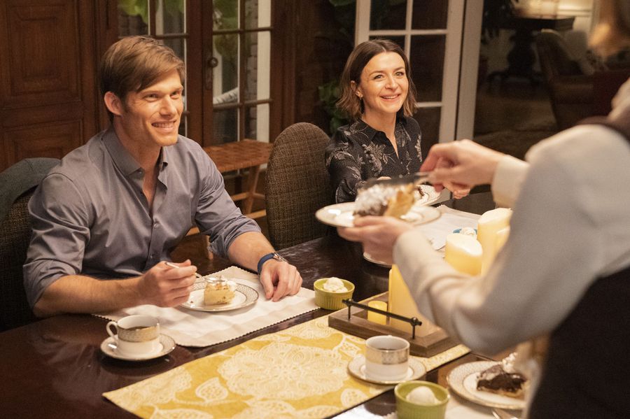 Imagem de: Grey's Anatomy: reunião da família Shepherd faz Link brilhar no episódio S15E21 (spoilers)