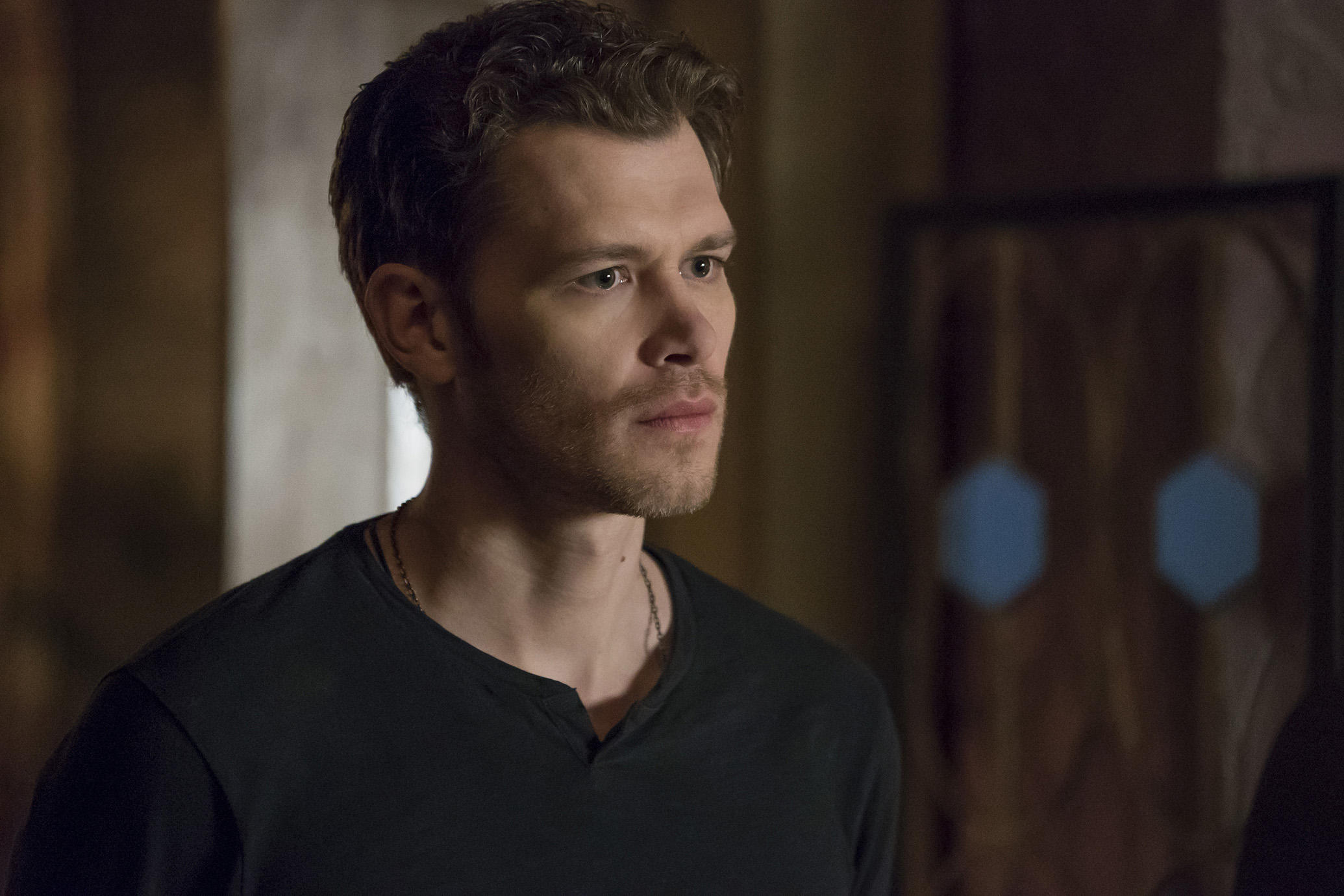 Imagem de: Joseph Morgan, de The Originals, entra para elenco de Animal Kingdom