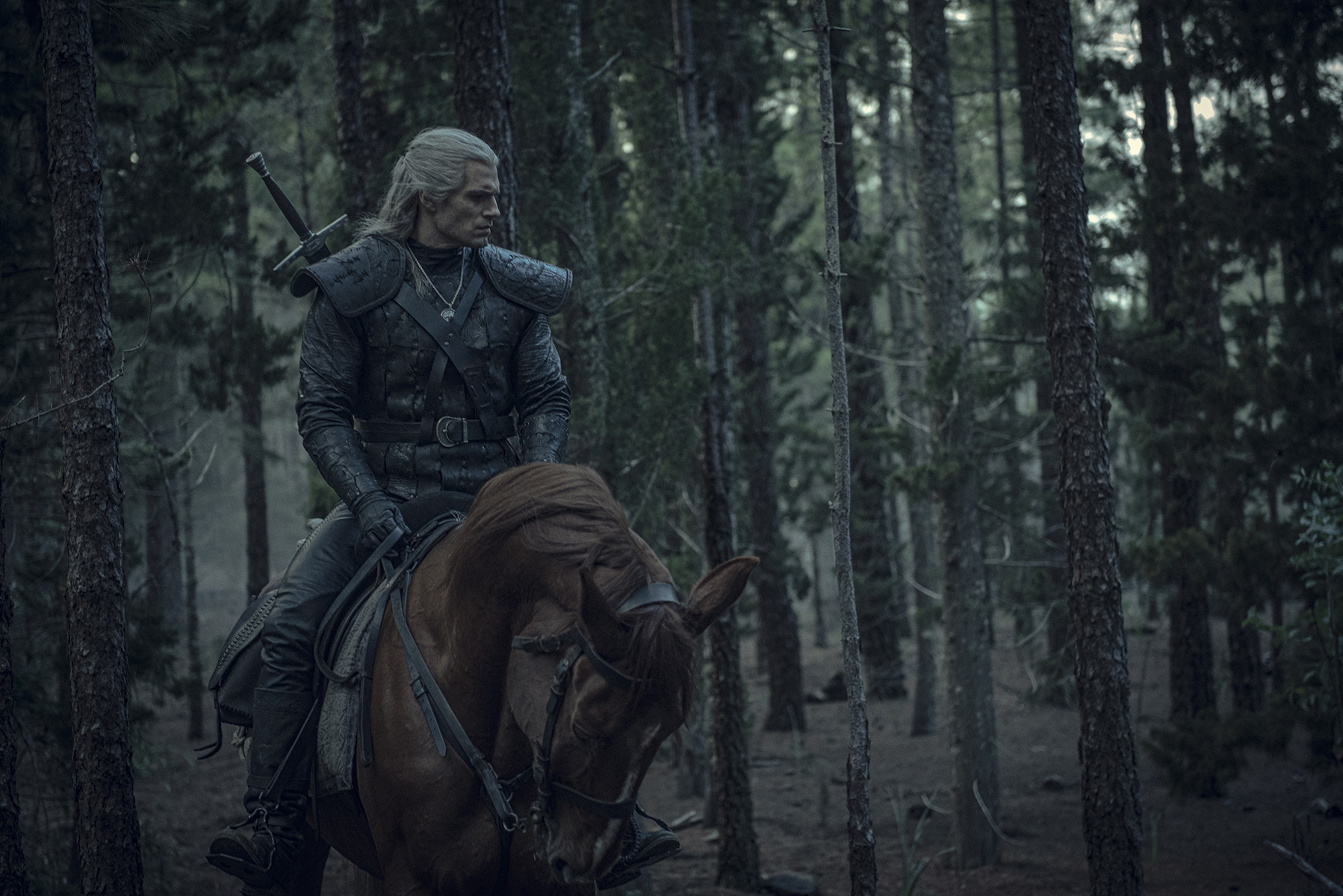Imagem de: The Witcher: guia de leitura e mais informações sobre a série