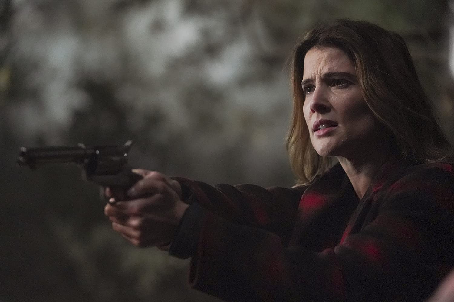 Imagem de: ABC renova 13 programas para novas temporadas em 2020/2021