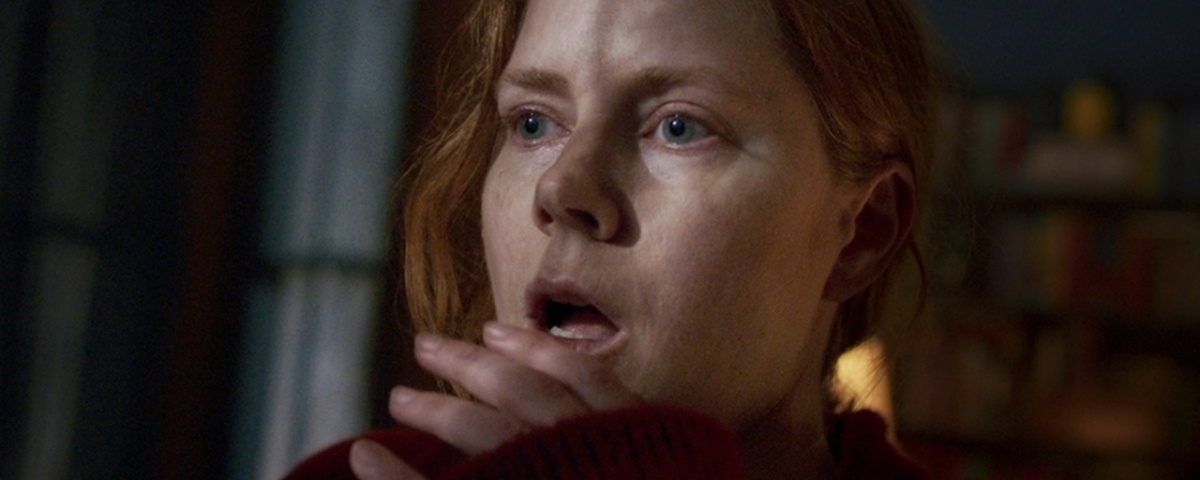 Imagem de: A Mulher na Janela: filme com Amy Adams será lançado na Netflix